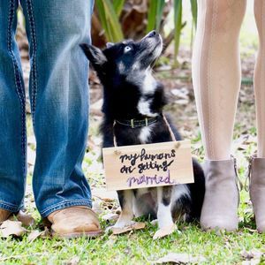 Meet your Posher, Savannah